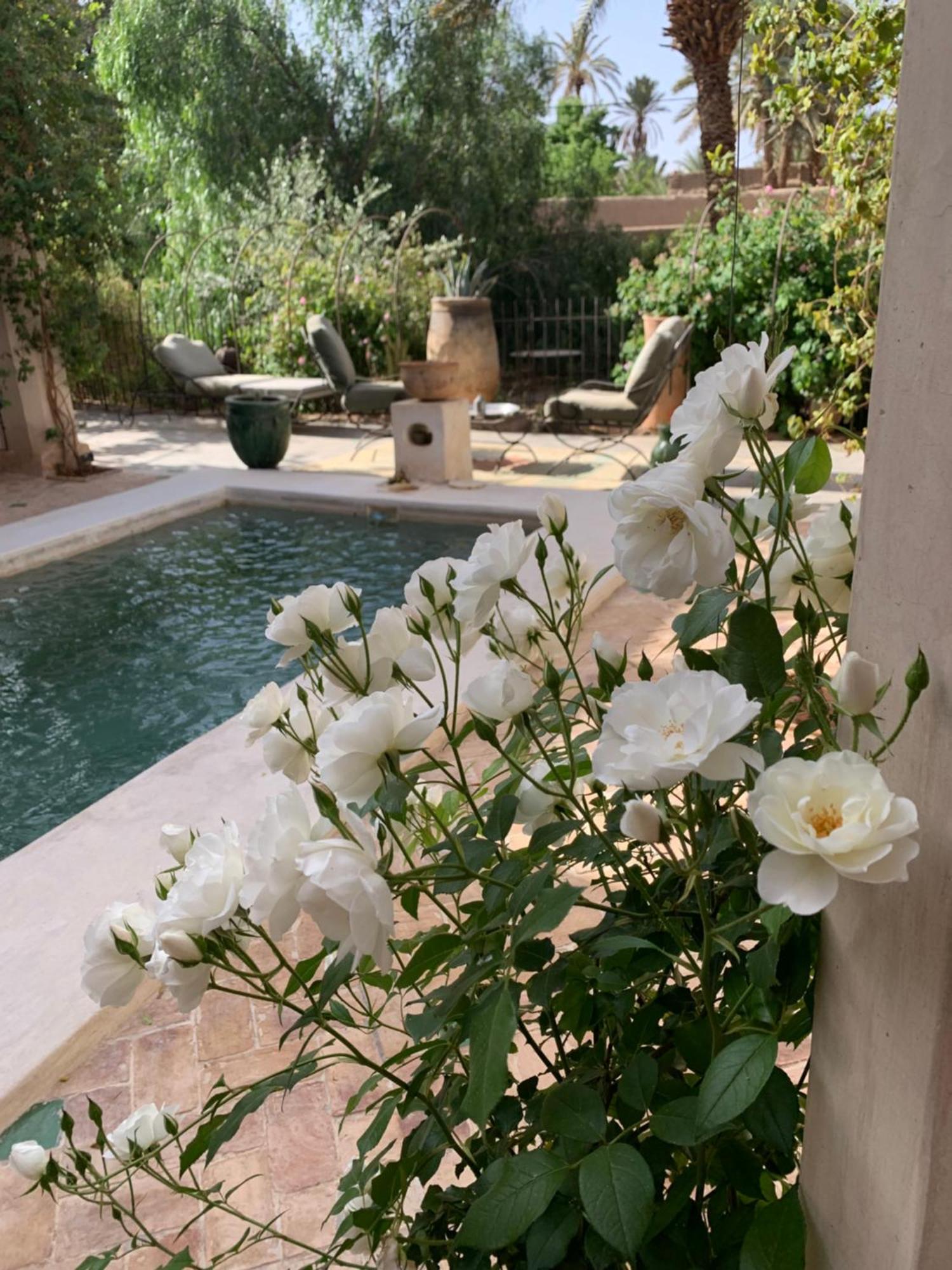 Riad Chant D'Etoiles Tadighoust El Hara Bagian luar foto